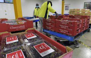 這國頂級實力櫻桃來了 價格漂亮品質好