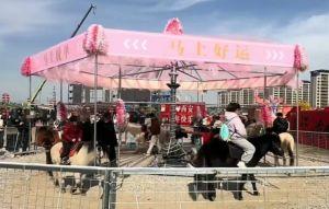 中國景區旋轉木馬竟是活馬 網轟馬年最慘的是馬