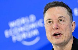 為打造世界最大晶片工廠 馬斯克盯上台積電人才