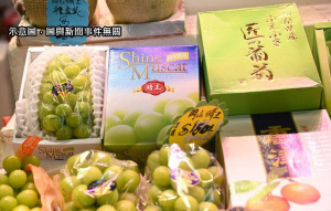 麝香葡萄魚目混珠流向中國 慘虧百億 日本出招了