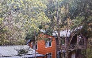 避風頭想偷渡出境?徐漢藏身台東私人農莊曝光