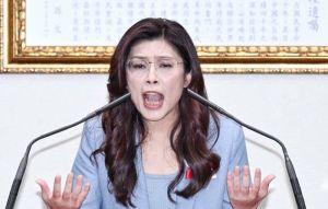 鄭麗文要藍委挺3800億+N 藍營粉專也開罵