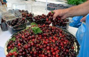 智利櫻桃慘案！2.4萬噸1原因遭中拒收損失51億