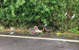 單車婦被撞淋雨2小時亡 駕駛肇逃13小時辯不知道