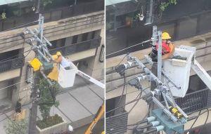 台電人員爬電桿拆除鳥巢 1舉動暖爆數萬人！