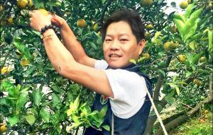苗栗鄉長温志強棄保潛逃 二審134罪判576年7月