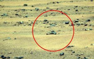 火星拍到有槍？UFO研究員：NASA早知情