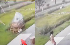 颱風紅霞太猛！6歲女童「連人帶床」慘遭吹走 驚悚畫面曝光