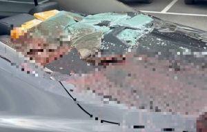 17歲男被撞死卡擋風玻璃 冷血男載200米丟路邊 竟拆車牌報失竊