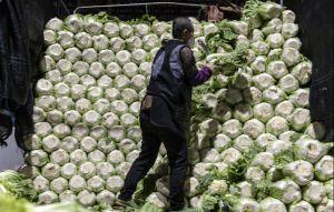 中國大白菜爆塗甲醛 南韓驚:99%泡菜從那進口