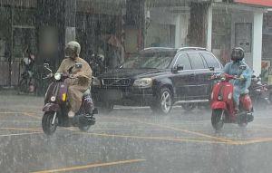 連日豪雨釀災！週二停班課一次看