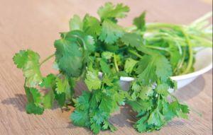 護腎「5大挑食地獄菜」香菜上榜！