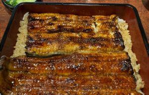 金牌教練狂砸600萬元 亞運中繼站天天供應台灣鰻魚飯