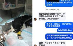 曝沈伯洋9年前救車禍小貓善舉 學生:他始終善良