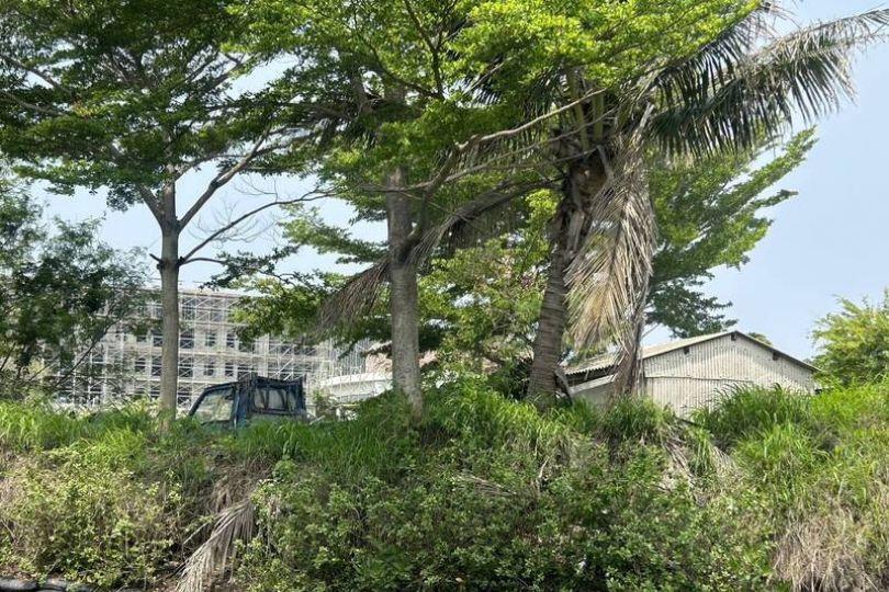 緊鄰國家級濕地蓋飯店 議員憂台版亞馬遜河消逝