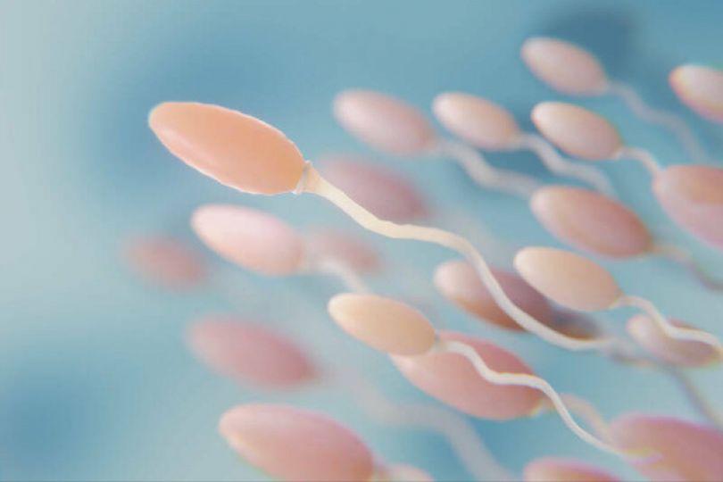 塑膠微粒入侵男性睪丸 恐影響精子數量