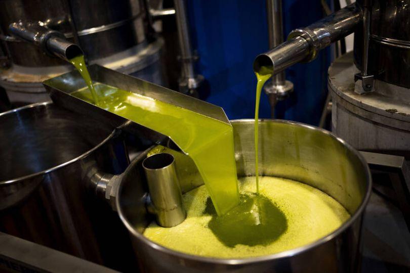 液體黃金橄欖油飆天價  分析師:從業以來首見