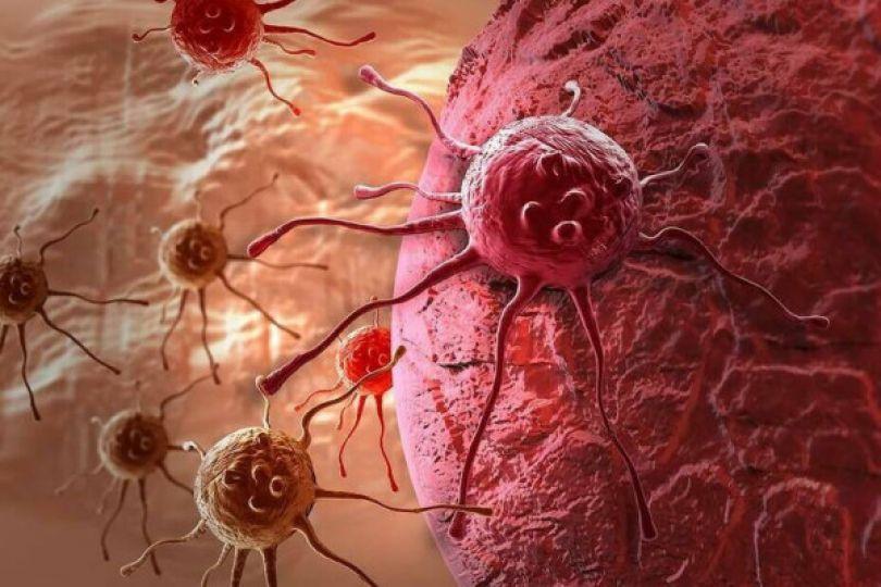 癌細胞的「加倍」秘密：科學家找到抗癌新線索
