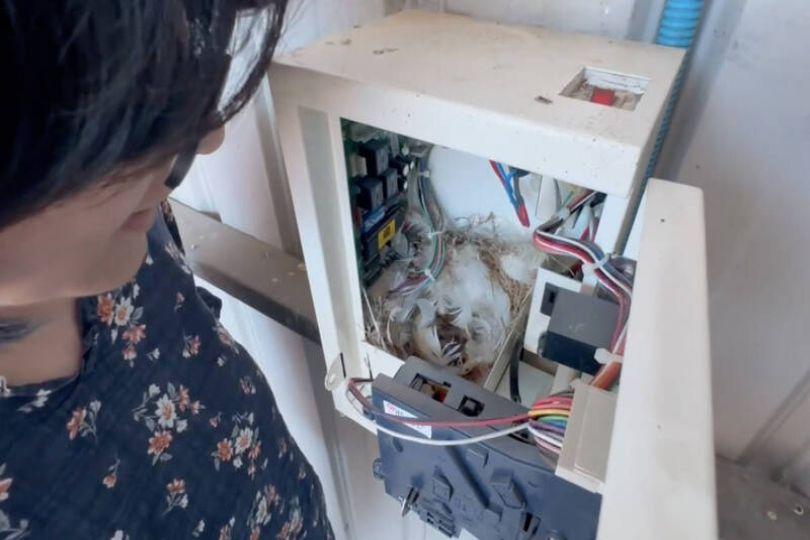 洗車場投幣機狂吐錢！發現真相暖心這樣做
