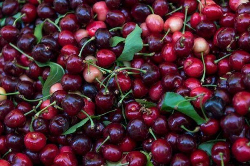 櫻桃有甜甜價？這些美國水果賣到台灣零關稅