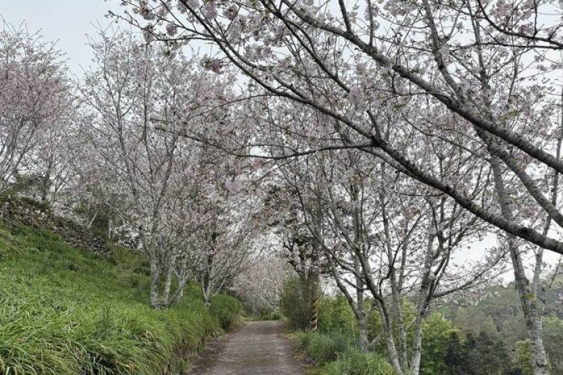 徐漢台東民宿被捕！稱上金針山休養身體 還教老闆種花造景