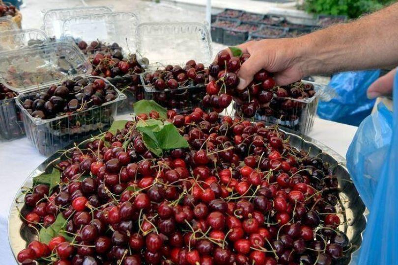 櫻桃輸中價格雪崩含淚賣  智利不忍做出1決定