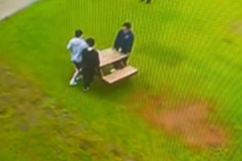 擎天崗野戰爆紅 醫:戶外親密5大風險
