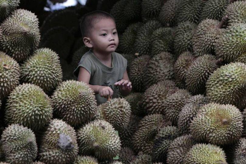 智利櫻桃跌完換榴槤  中國央視證實價格崩跌3成