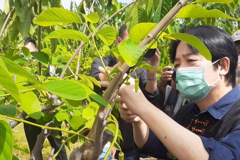 曝賴清德當年幫釋迦農 他喊話：別學國民黨忘恩