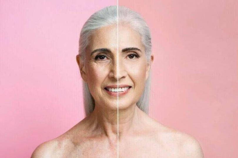 人體老化元凶找到了？1免疫開關牽動多器官