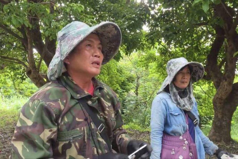 捉綠鬣蜥賺近百萬元禮券 最強獵人是夫妻檔