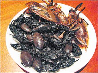 【旅遊】實現我的旅遊夢----勇闖飛天仙女國度  吳哥窟