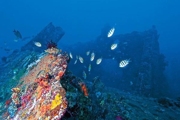 【旅遊】南緯8度的微風─潛向印尼圖蘭本