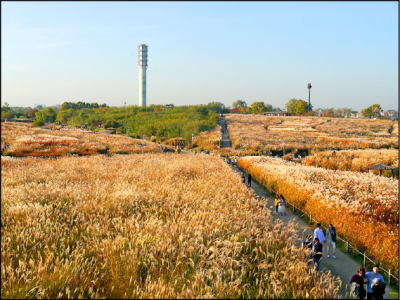 【旅遊】文青逐秋彩─韓國首爾遊