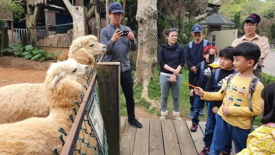 兒童節六福村全民童樂499優惠 動物派對歡樂開趴