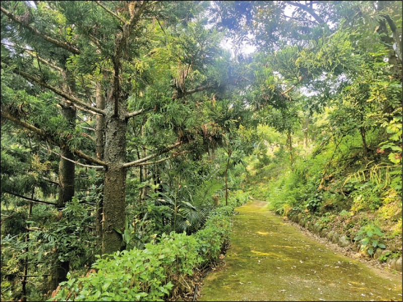 【吃遊聯盟】跟著《俗女養成記》，玩遍台南夯景點