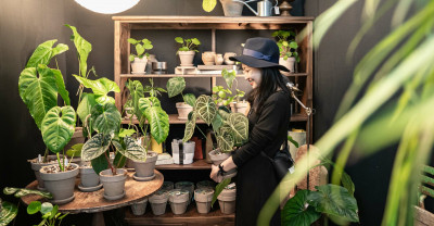 文青界的植物市集 第3屆「台灣第一植物界」松菸登場