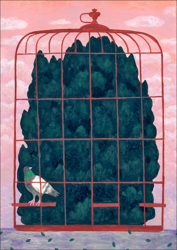 【自由副刊．第十八屆林榮三文學獎．散文獎佳作】 黃昱嘉／鴿籠