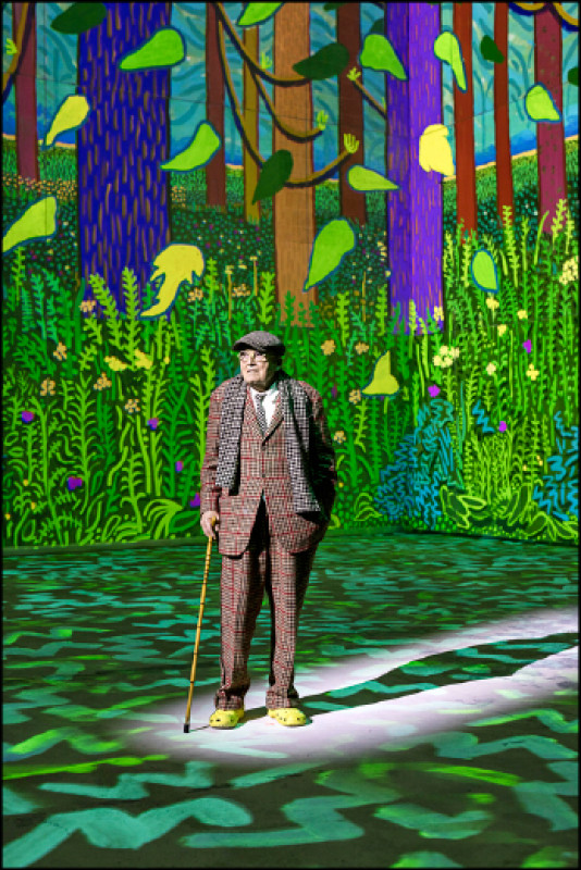 【藝週末．國際藝聞】普普藝術先鋒 大衛．霍克尼沉浸式藝術展