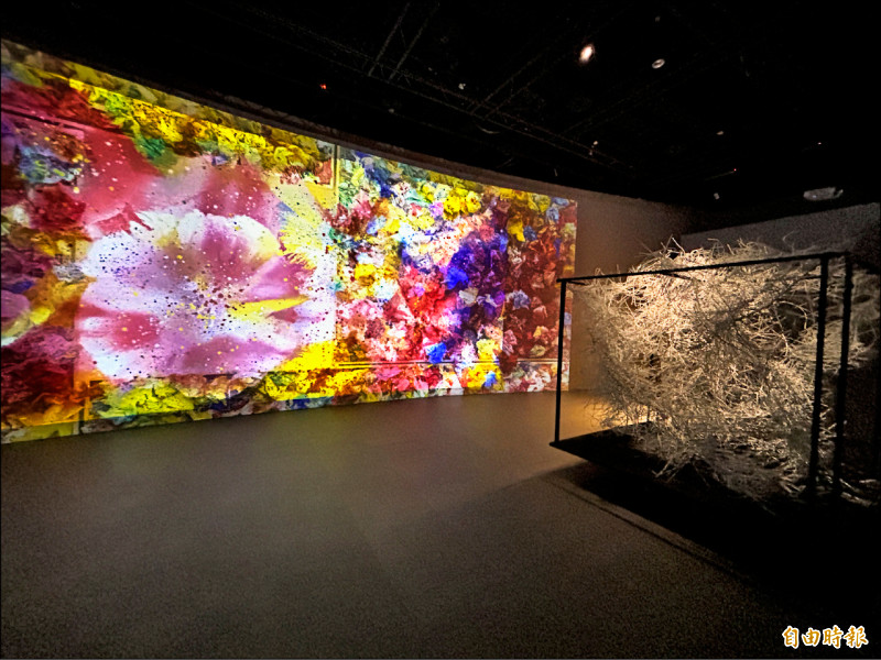 【藝術‧文化】《RE：江賢二》數位冥想光影展 22日沉浸登場