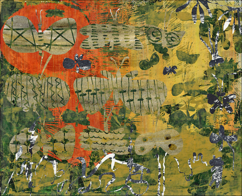 【自由副刊】 伊森／未知蝶名