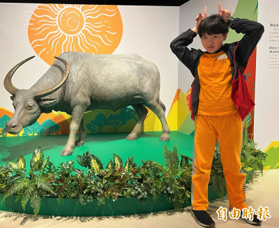 「台灣史前動物特展」開展到明年！ 十三行博物館呈現萬年生態史