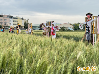 （影音）大雅「小麥產業文化節」3月2日登場！「龍轉麥田趣」棧板巨龍現身麥田