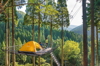 探索日本最大規模冒險主題設施  福井縣Tree Picnic Adventure IKEDA