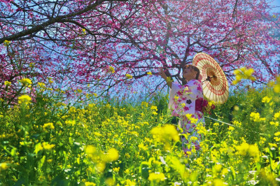 春暖花開福容徠旅系列出遊趣  訪林口鳶尾花花季、南投賞花祕境、高雄及墾丁藝術盛宴