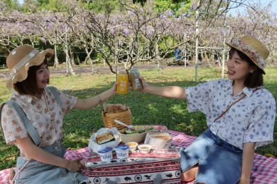 季節限定「紫藤花假期」 淡水福容大飯店帶你去紫藤花園享用早午餐