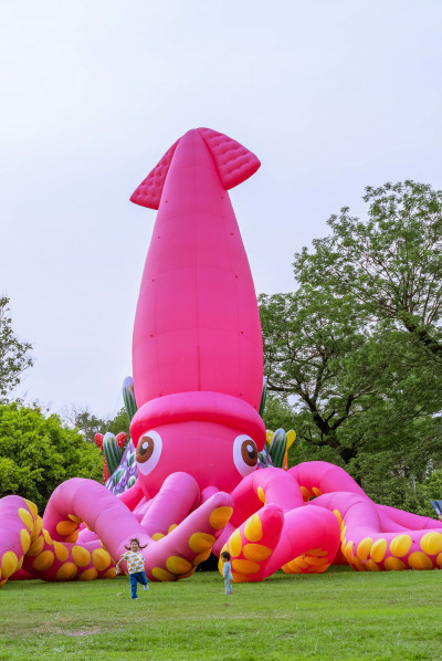 全台最萌海洋寶寶公開徵名  韓團BlACKPINK竟為牠成「粉紅賊賊」