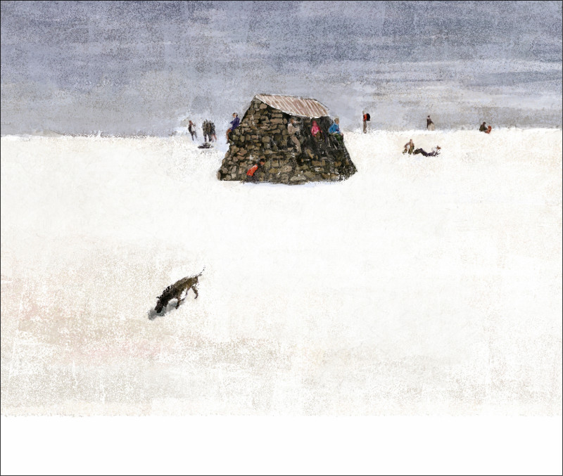 【自由副刊．極短篇】 曾谷涵／白雪黑狗