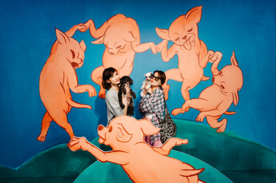 帶毛小孩看門外風景！內惟藝術中心「一時段」 開放狗狗入館交朋友