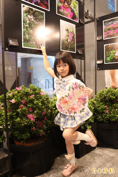（影音）「萬金杜鵑攝影展」即起至6/7 欣賞暗夜氣質美、愛麗絲夢遊仙境